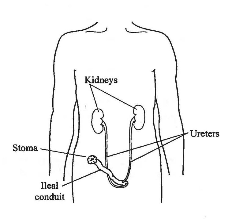 Photo may have been deleted