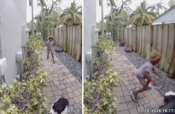 Photo of boy chasing duck in Florida