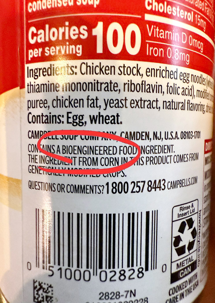 Photo of Campbell's Soup can