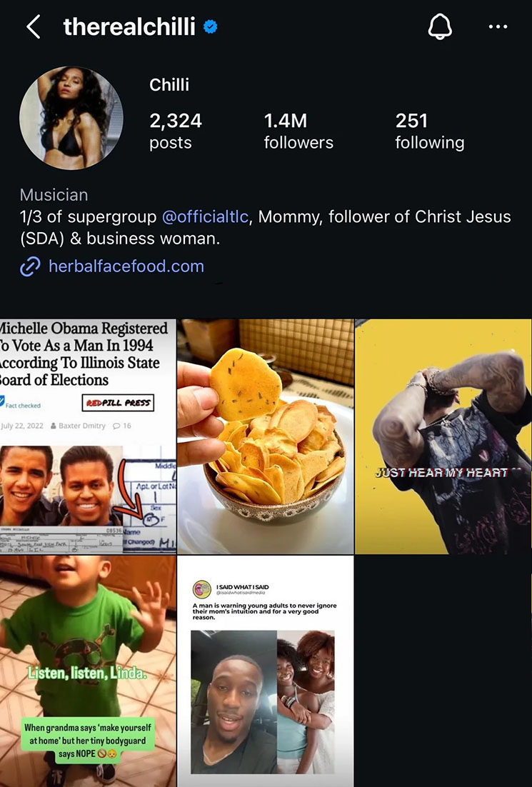 Photo of Michelle Obama conspiracy theory