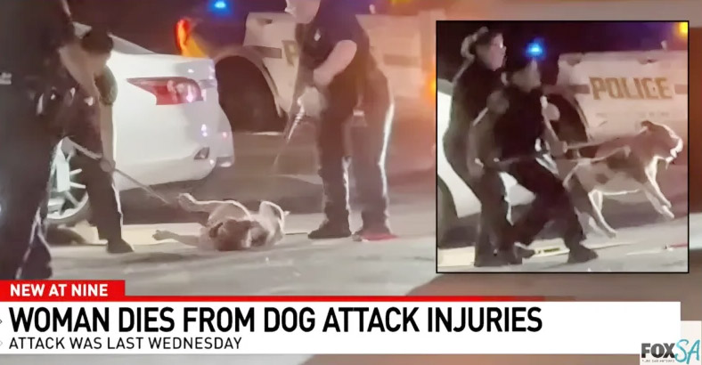 Photo of police with pitbull that attacked Simone Lyke