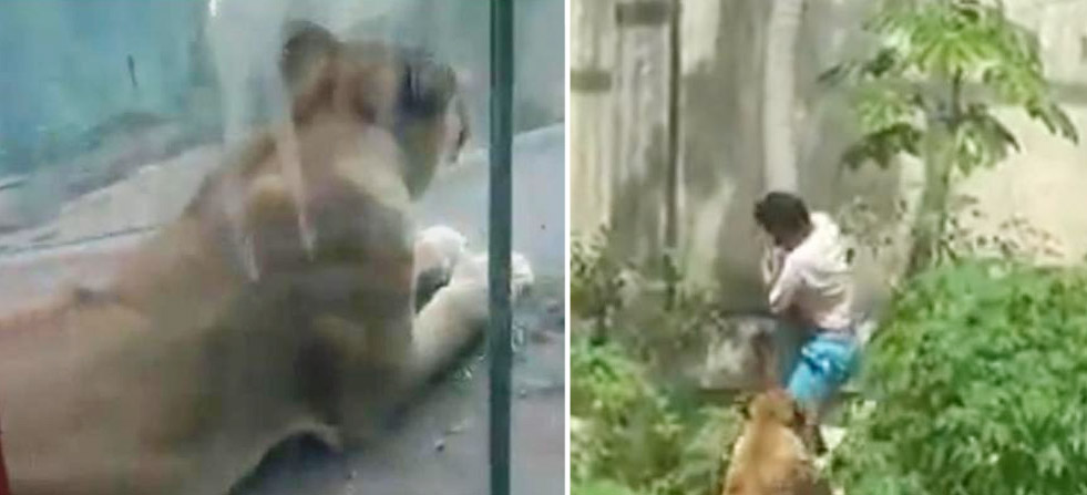 Photo of Gerson de Melo Machado