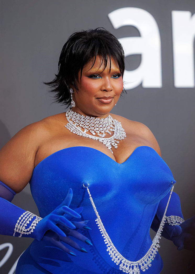 Photo of Lizzo at amfAR gala