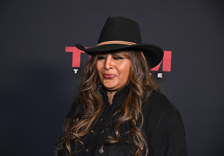 Pam Grier, 76, says she has orgasms that last three days | Sandra Rose