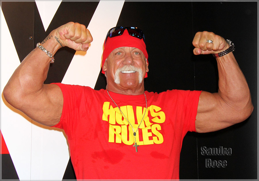 Hulk Hogan