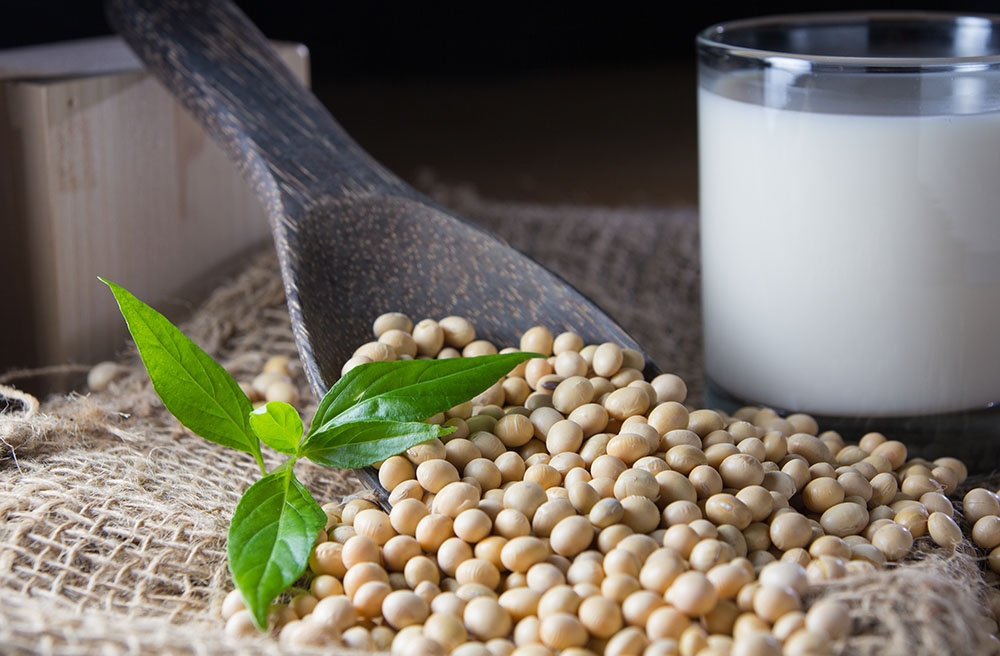 Soy Beans and Glass Of Soy Milk