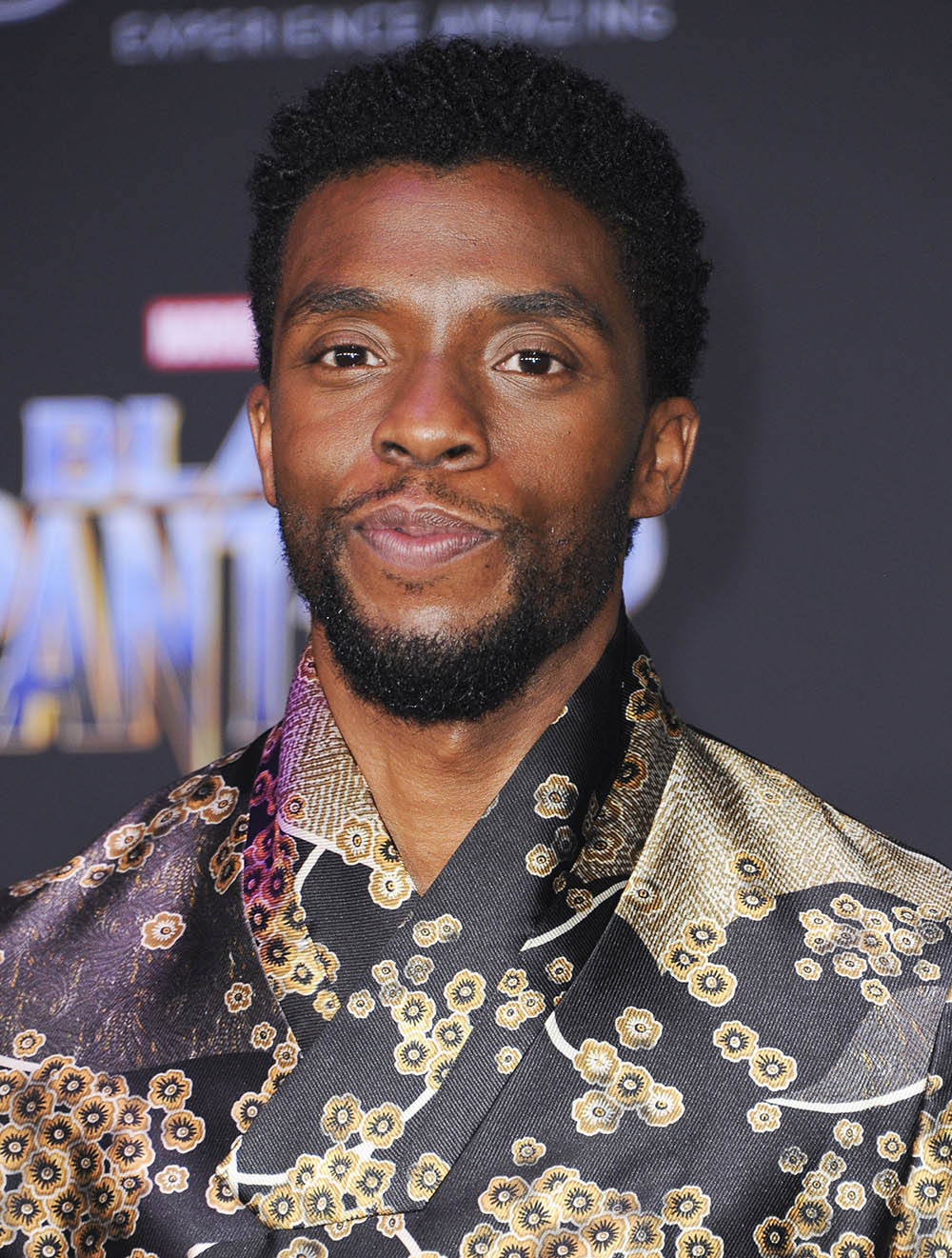 Chadwick Boseman at Film Premiere of Black Panther