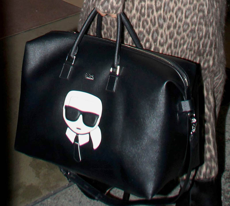 Nicki Minaj - Nicki - Image 5 from Spotted: Celebrity It Bags