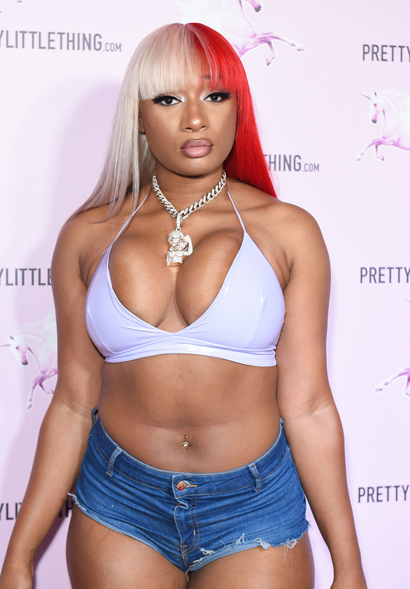 Megan Thee Stallion's sexiest snaps - boob spill, tiny crop top