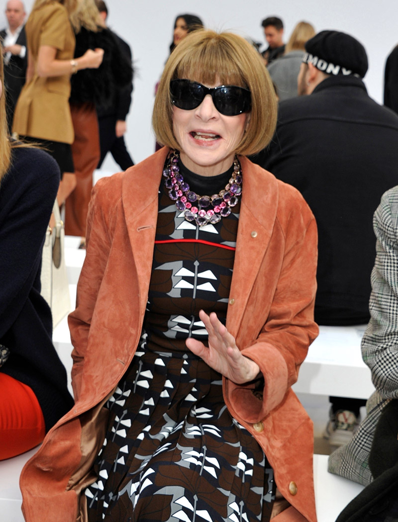 Anna Wintour attends MFW-Max Mara show | Sandra Rose