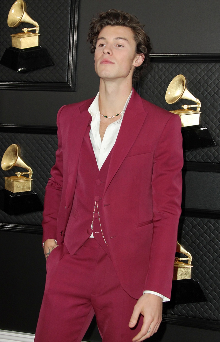 Shawn Mendes attends 62nd Annual GRAMMY Awards held at the Staples ...
