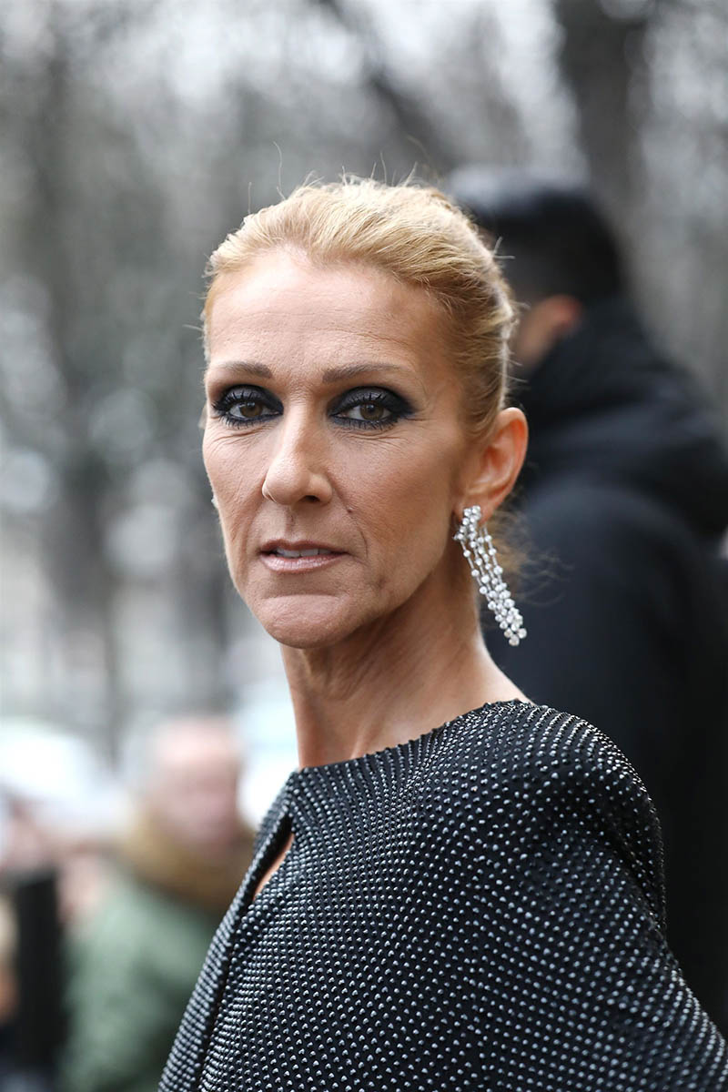 Celine Dion’s sister accused of lying about pop singer’s medical ...