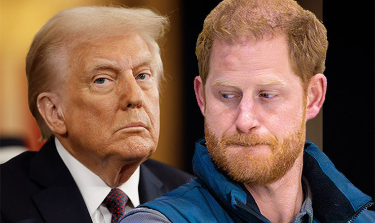 Trump will prosecute Prince Harry if he lied on U.S. visa application