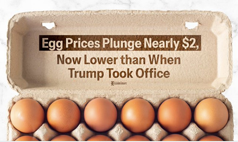 Egg Prices Plunge Nearly $2 – Lower Than When Trump Took Office