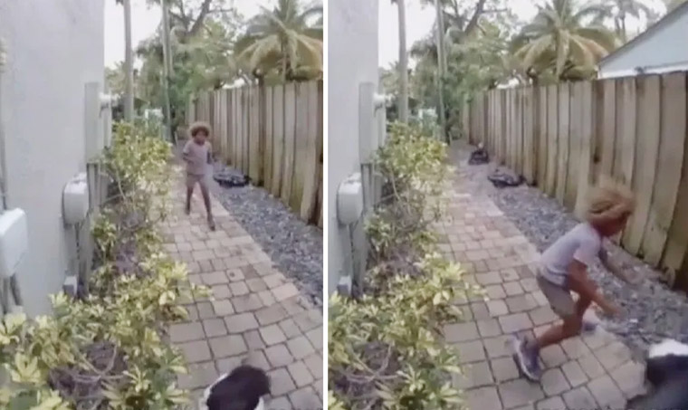 Fowl Play: Florida Police Offer $5,000 to Find Boy Seen Stomping Duck to Death